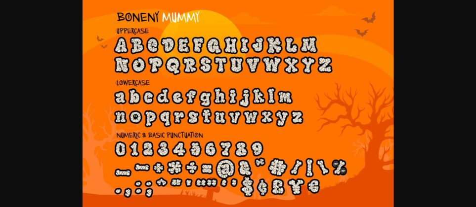 Boneny Font Poster 9