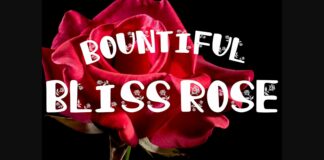 Bountiful Bliss Rose Font Poster 1