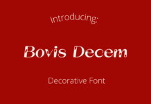 Bovis Decem Font Poster 1