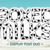 Boxed Milks Font