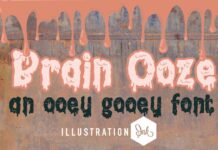 Brain Ooze Font Poster 1