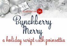 Bunchberry Merry Font Poster 1