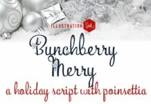 Bunchberry Merry Font Bunchberry Merry Font Poster 1