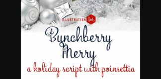 Bunchberry Merry Font Poster 1