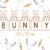Bunny Card Font