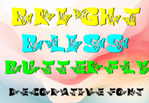 Butterfly Bright Bliss Font Poster 1