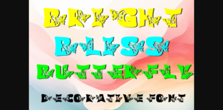 Butterfly Bright Bliss Font Poster 1