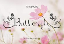 Butterfly Font Poster 1