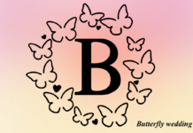 Butterfly Wedding Font Poster 1