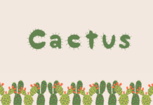 Cactus Font Poster 1