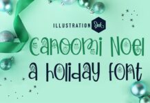 Canoomi Noel Font Poster 1