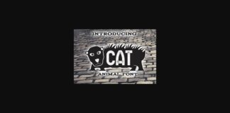 Cat Font Poster 1