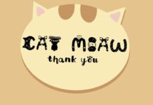 Cat Miaw Font Poster 1