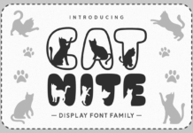 Cat Nite Font Poster 1
