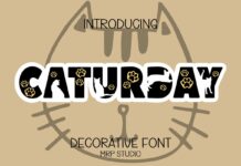 Caturday Font Poster 1