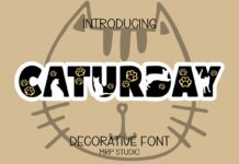 Caturday Font Poster 1