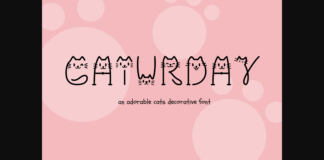 Caturday Font Poster 1