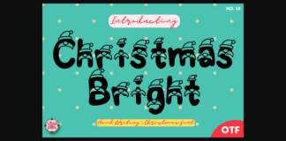 Christmas Bright Font Poster 1