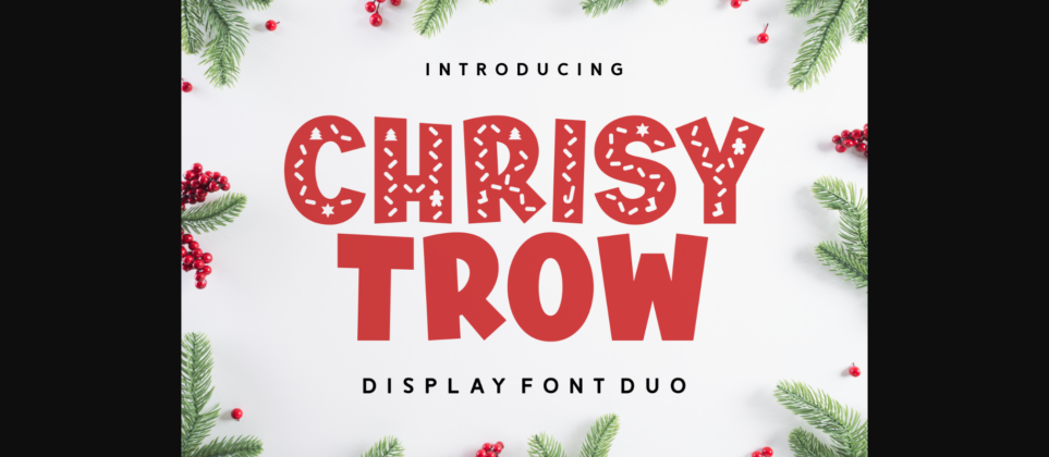 Chrisy Trow Font Poster 3