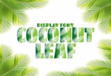 Coconut Leaf Font Poster 1