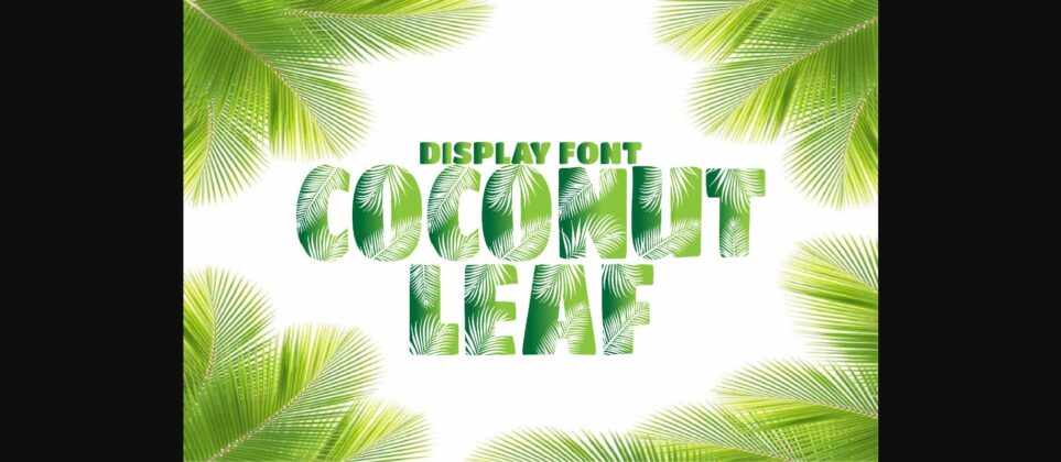 Coconut Leaf Font Poster 1