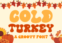 Cold Turkey Font Poster 1