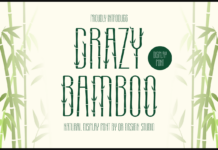 Crazy Bamboo Font Poster 1