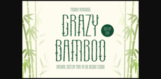 Crazy Bamboo Font Poster 1