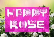 Crazy Rose Font Poster 1