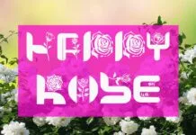 Crazy Rose Font Crazy Rose Font Poster 1
