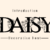 Daisy Font