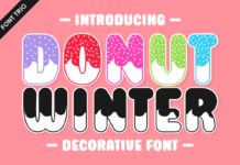 Donut Winter Font Poster 1