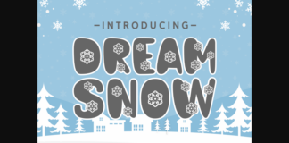 Dream Snow Font Poster 1