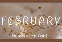 February Font Poster 1