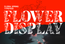 Flower Display Font Poster 1