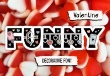 Funny Valentine Font Poster 1