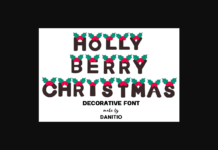 Holly Berry Christmas Font Poster 1