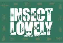 Insect Lovely Font Poster 1