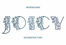 Joicy Font Joicy Font Poster 1