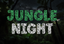 Jungle Night Font Poster 1