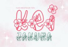Kei Zakura Font Poster 1