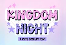 Kingdom Night Font Poster 1