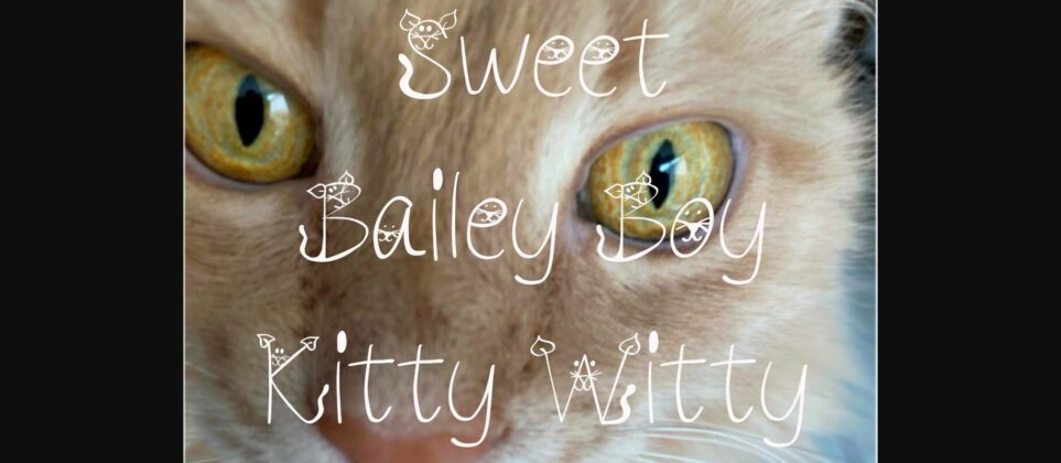 Kitty Witty Font Poster 7