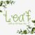 Leaf Font