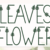 Leaves Flower Font