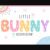 Little Bunny Font