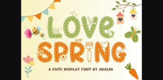 Love Spring Font Poster 1