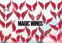 Magic Wings Font Poster 1