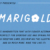 Marigold Font