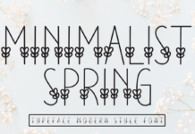 Minimalist Spring Font Poster 1